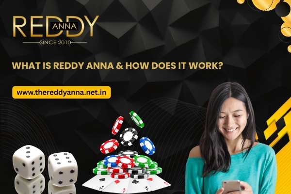 What is Reddy Anna & How Does It Work